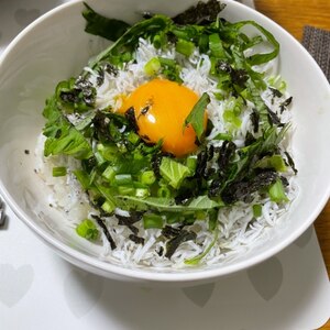 ランチ お手軽 焼津 の しらす丼